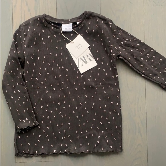 Zara Other - Zara toddler girl top size 3T